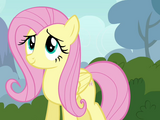 Fluttershy