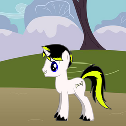 My Little Pony Roleplay Is Magic Mlp Rp Wiki Fandom - mlp roleplay is magic roblox