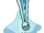 Blue Pearl