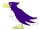 Thunderbird