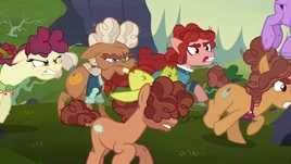 Hooffields