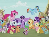 Pony