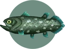 This is an Equestrian Coelacanth that the  followed to the ruins.