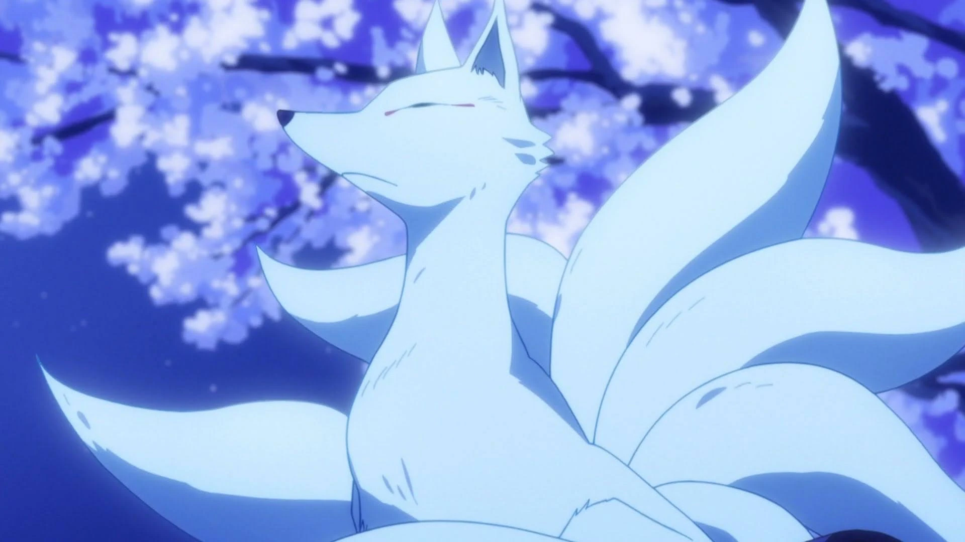 Bunko | My Master Has No Tail Wiki | Fandom