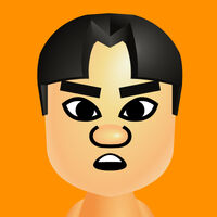 Sumy My Miis Wiki Fandom Quagmire is structured into three major classes that inherit methods and attributes from lower tiers. my miis wiki fandom