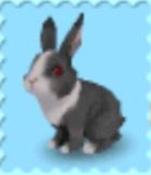 My pet pet shop outlet