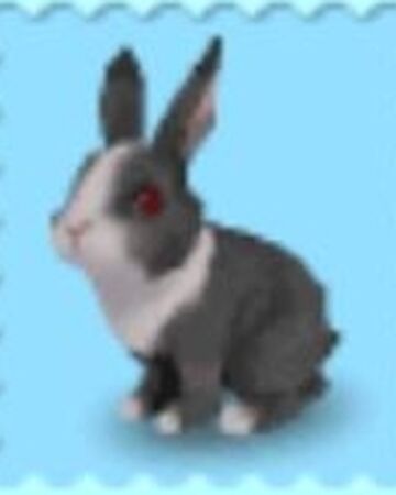 rabbit my pet shop ds wiki fandom