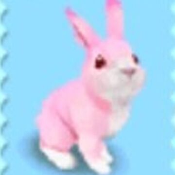 rabbit my pet shop ds wiki fandom