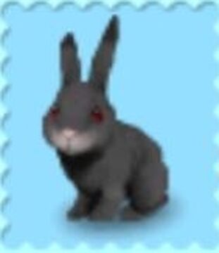 My pet pet shop hotsell