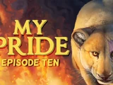 Episode 10: Pride Law