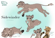 Sidewinder’s original reference sheet