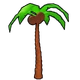 Palm Tree