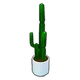 Cactus Plant
