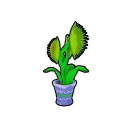 Venus Fly Trap