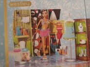 MyScene ♥ Shopping Madison Back of the box