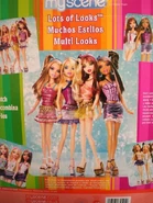 Lots of Looks Back of the box