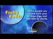 Fishy Facts Shark 2