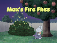 Max's Fire Flies