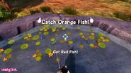 Catch Orange Fish!