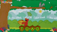 T-O-A-D (Toad)