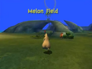 Melon Field