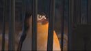 Penguins of Madagascar 22