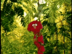 Elmo's World Flowers, Plants & Trees (DVD Rip).gif