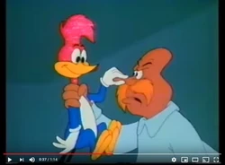 The Woody Woodpecker Show Image Gallery My Scratchpad Wiki Fandom