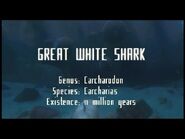 Great White Shark