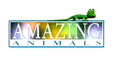 Henry's Amazing Animals Logo