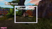 Rhino Photo