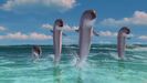 Madagascar Hollywoodedge, Dolphin Chirps Vocal PE024601