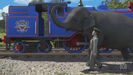 Hollywoodedge, Elephant Trumpeting PE024801