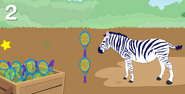 Zebra (2 tennis rackets tall)