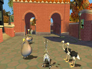 300789-madagascar-windows-screenshot-marty-explores-the-zoo