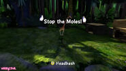 Stop the Moles!