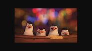 PenguinsofMadagascsarGallery23