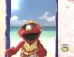 Elmo's World: The Beach