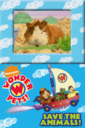 Wonder Pets!Save the Animals!39