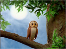 Thomas & Friends Sound Ideas, BIRD, TAWNY OWL - TAWNY OWL, STRIX ALUCO, BIRD, DIGIFFECTS