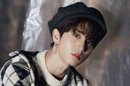 Han from Stray Kids