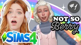 Nsb35