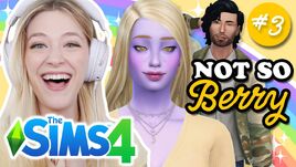 Nsb28