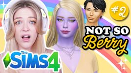 Nsb27