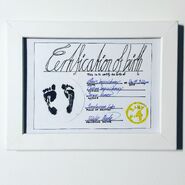 Alexis' birth certificate by poilchens on Instagram