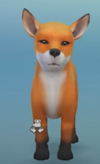 Flame Berry as a fox cub