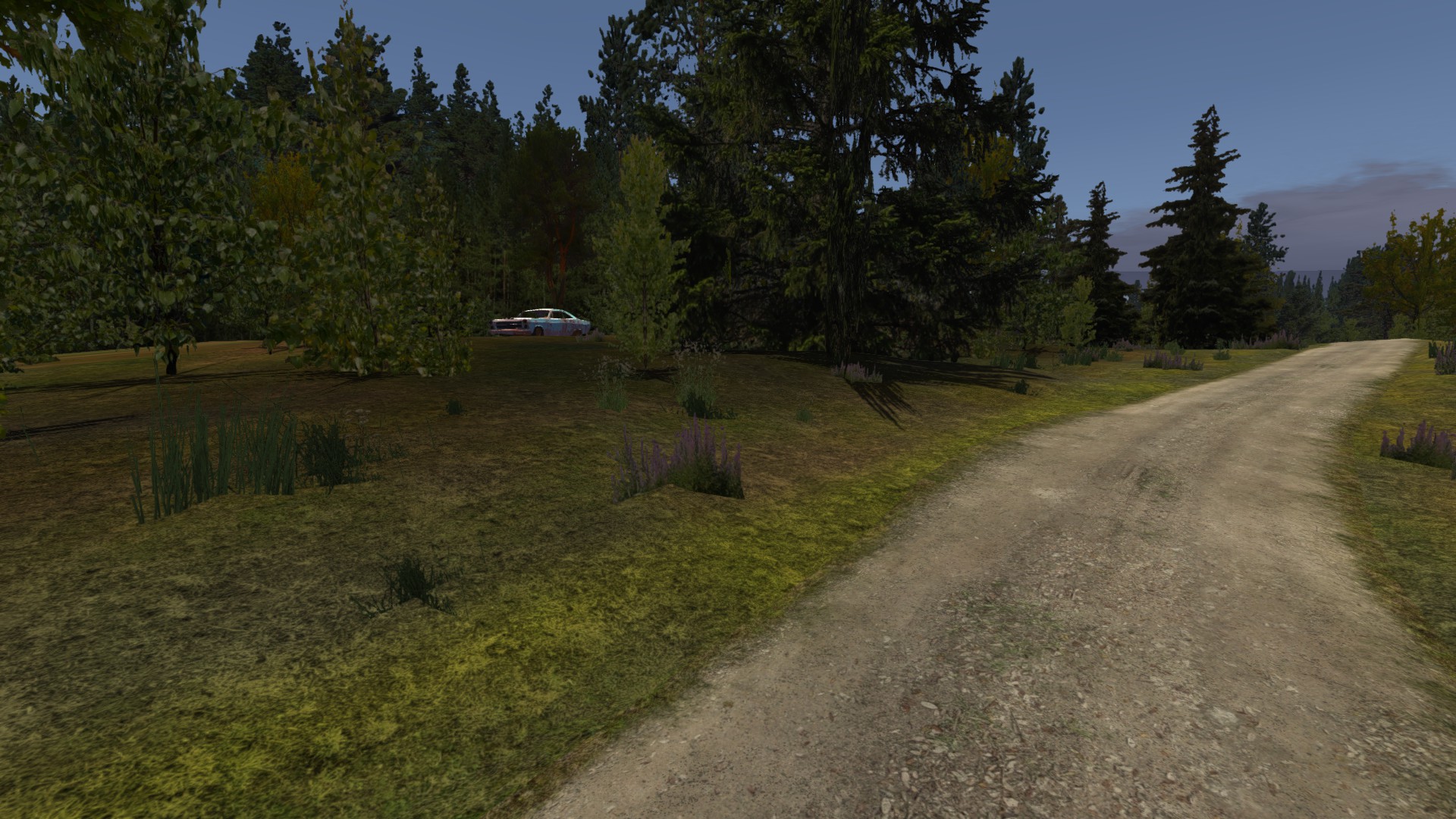 Dirt roads, My Summer Car Wiki