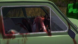 Pena morto em seu carro.