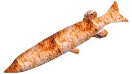 Grilled pike