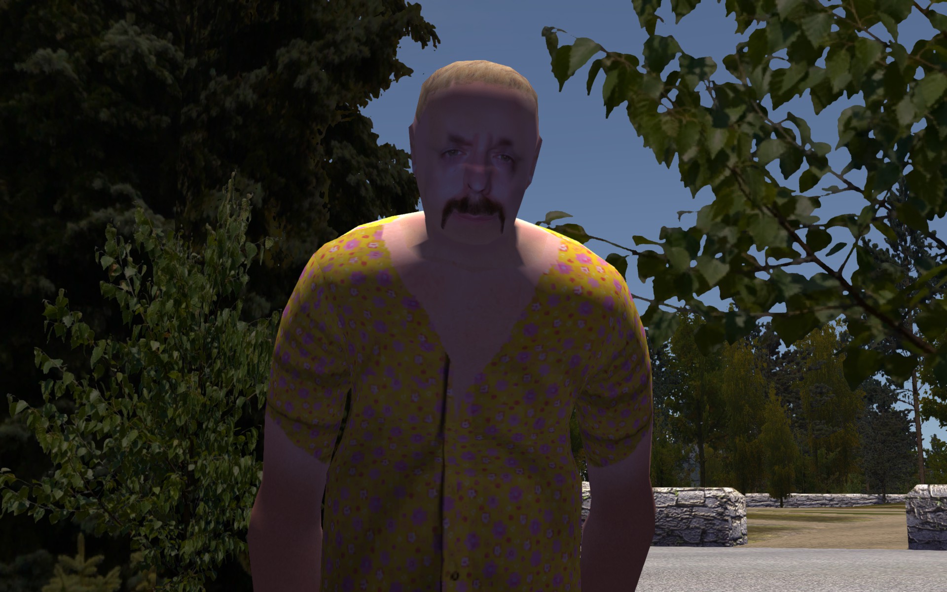 Player character, My Summer Car Wiki